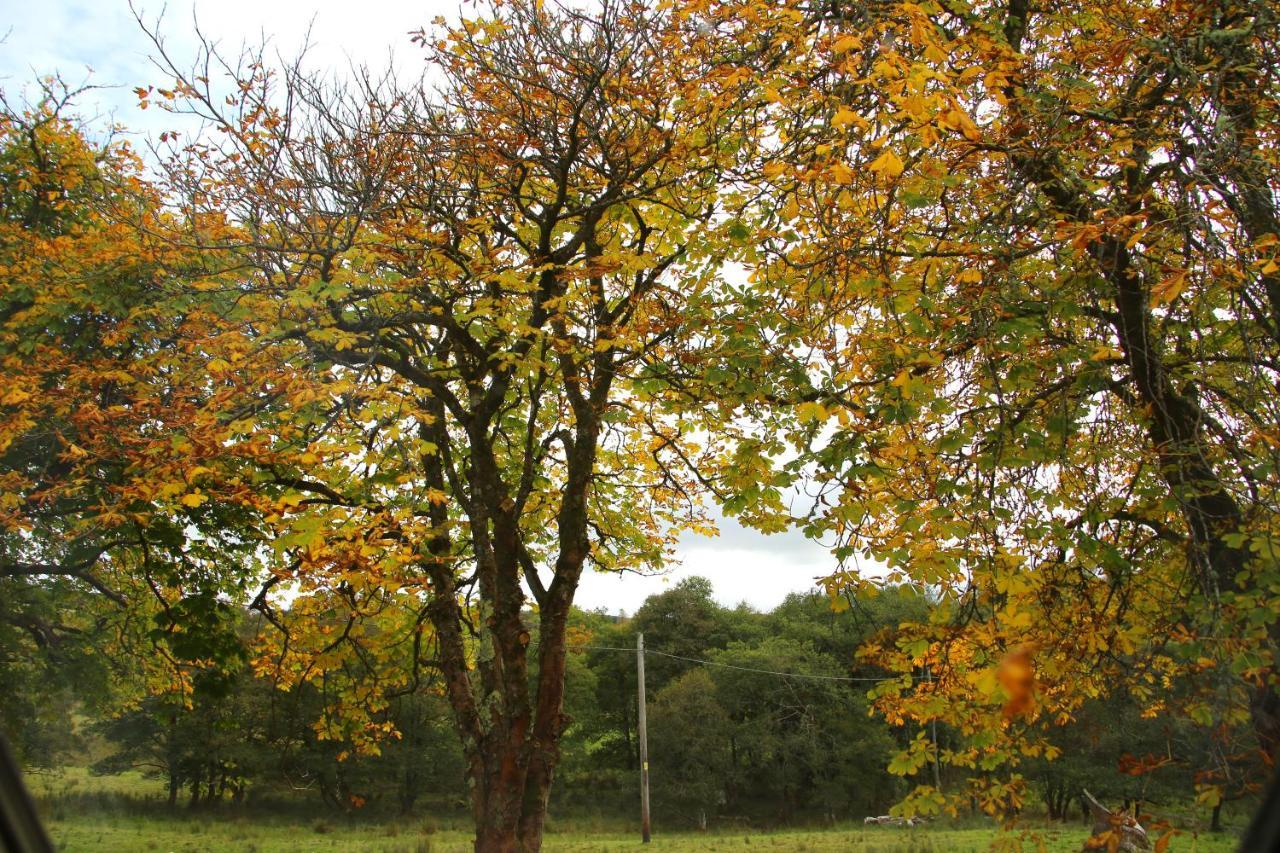 Pirn Mill Self Catering